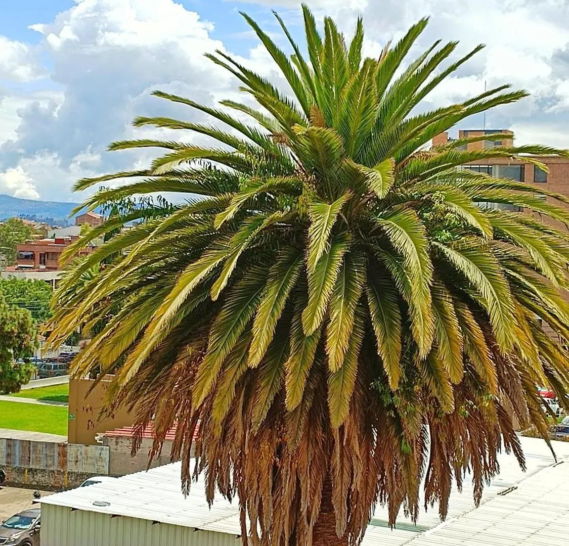 Apartamento Dpto. San Andres, La Mejor Vista Y Ubicacion Cuenca Ecuador